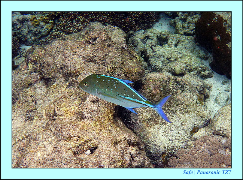 2012 - 07 - Apoh Island 90